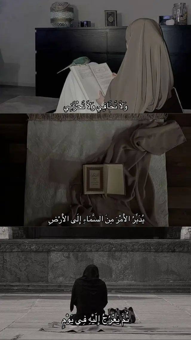 #قرآن #مشاهدات 