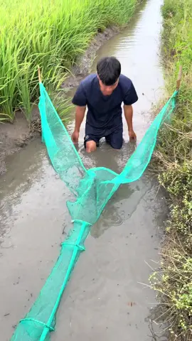 Quá thế luôn rồi #xuhuong #donca #docau #hiepgatv 