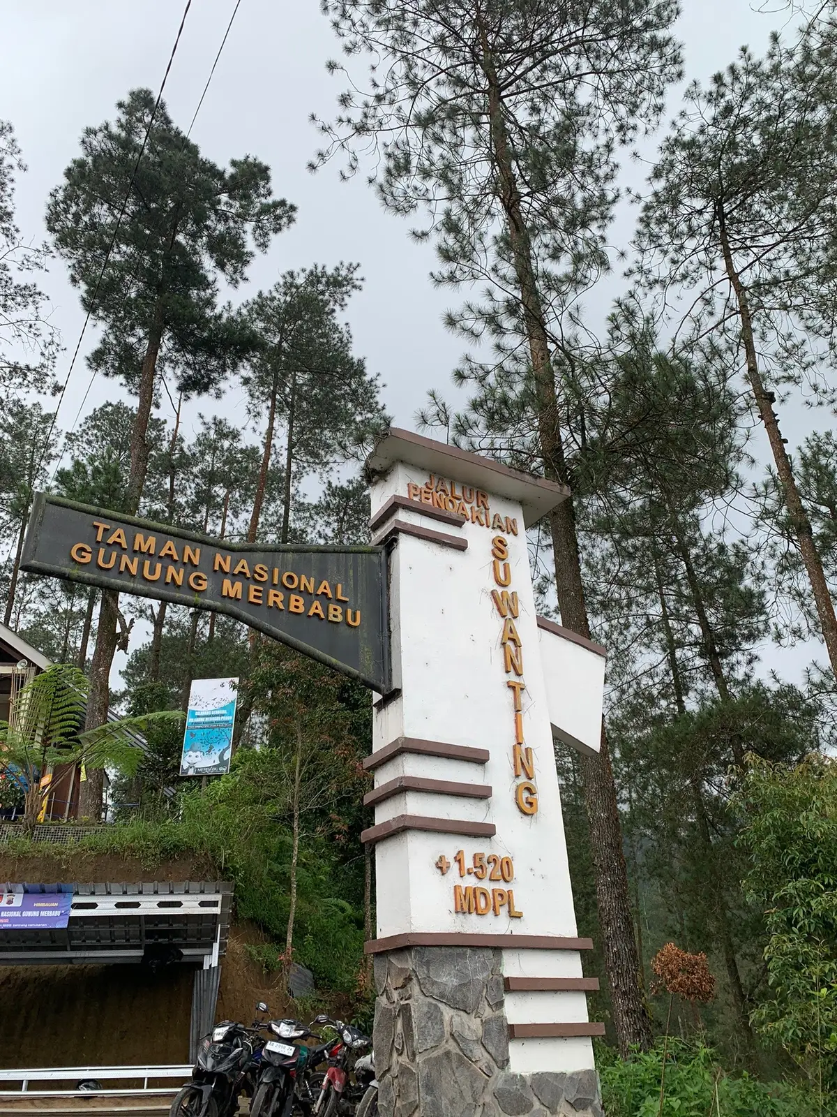 yang dilalui gagah untuk memanjakan mata tak kalah gagahnya, banyak bersyukur agar tak kufur #merbabu3142mdpl #merbabuviasuwanting #suwantingsinting 