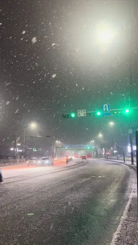 đón tuyết đầu mùa#tuyet #hanquoc 