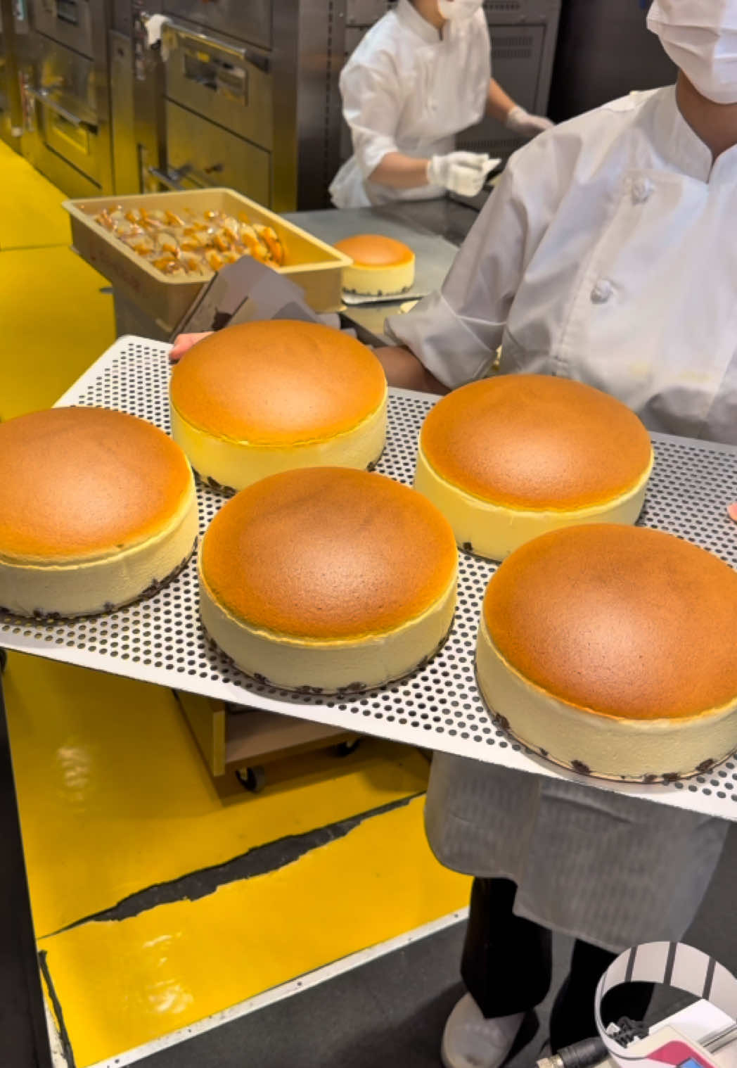 大阪で大人気のお土産！りくろーおじさんのチーズケーキ！ 「陸カフェROOM 」 📍 大阪府大阪市中央区難波3-2-28 #japanesefood #japanfood #japan #tiktokfood #大阪グルメ