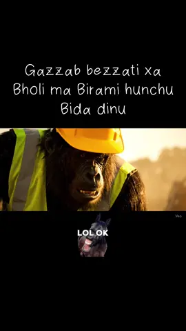 “गज्जब बेइज्जती छ भोलि म बिरामी हुन्छु बिदा दिनु” ✅ #viralvideo #viral #worker #foryoupage #fyp 