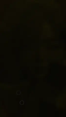 #CapCut 