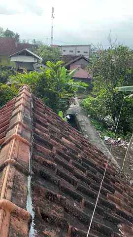 #ftth #otb #rtrwnet #fiberoptics #fypage 