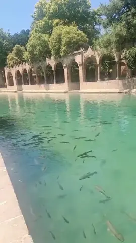 @꧁💦🅳İ🅽🅴🆈💦꧂ ile #düet 