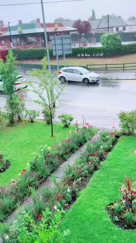 نمەی باران….🥺🇬🇧🇬🇧🇬🇧🇬🇧