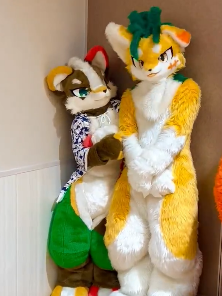 They're just shy ❤ เคดิต Twitter cr@:(SBSM202501_) #fursuit #furrycommunity #furryfandom #kemonofursuit #furry 