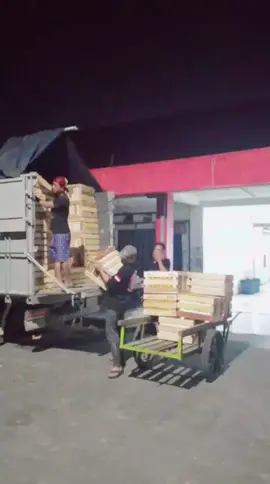 bongkar #pasarbuahpenggaronsemarang #jerukkintamani🍊 #truckcanter #fypシ゚viral🖤tiktok 