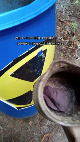 #повседневность #позитив #природа #релакс 