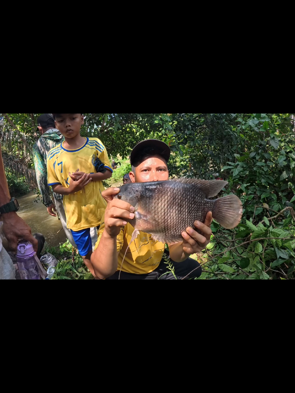Langsung strike, mancing ikan larangan, satu lubuk diserbu sekampung#yadinayyfishing #mancingikan 