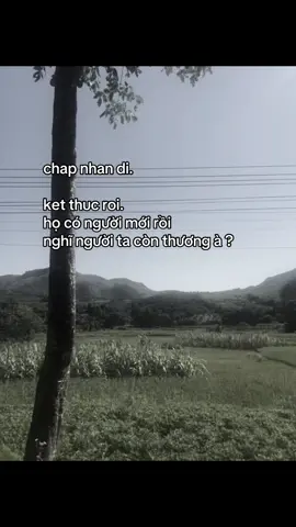 #fyp #foryou #viral #choemxuhuong1landimaanhtiktokdepzai #emcungcananhma🤍 