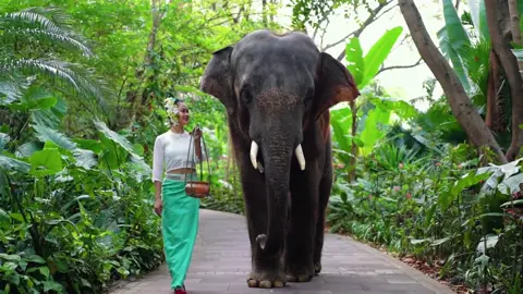 ၸဝ်ႈၽယႃးၸိူင်းႁၢၼ်(ၸဝ်ႈၾႃႉလူင်မၢဝ်းႁၢၼ်)​​ႁေႃၶမ်းတႆး​​ၵေႃႉဢွၼ်တၢငးသုတ်း မိူင်းသိပ်းသွင်ပၼ်းၼႃး(1119-1200)#သိပ်းသွင်ပၼ်းၼႃး #မိူင်းမၢဝ်းလူင် 