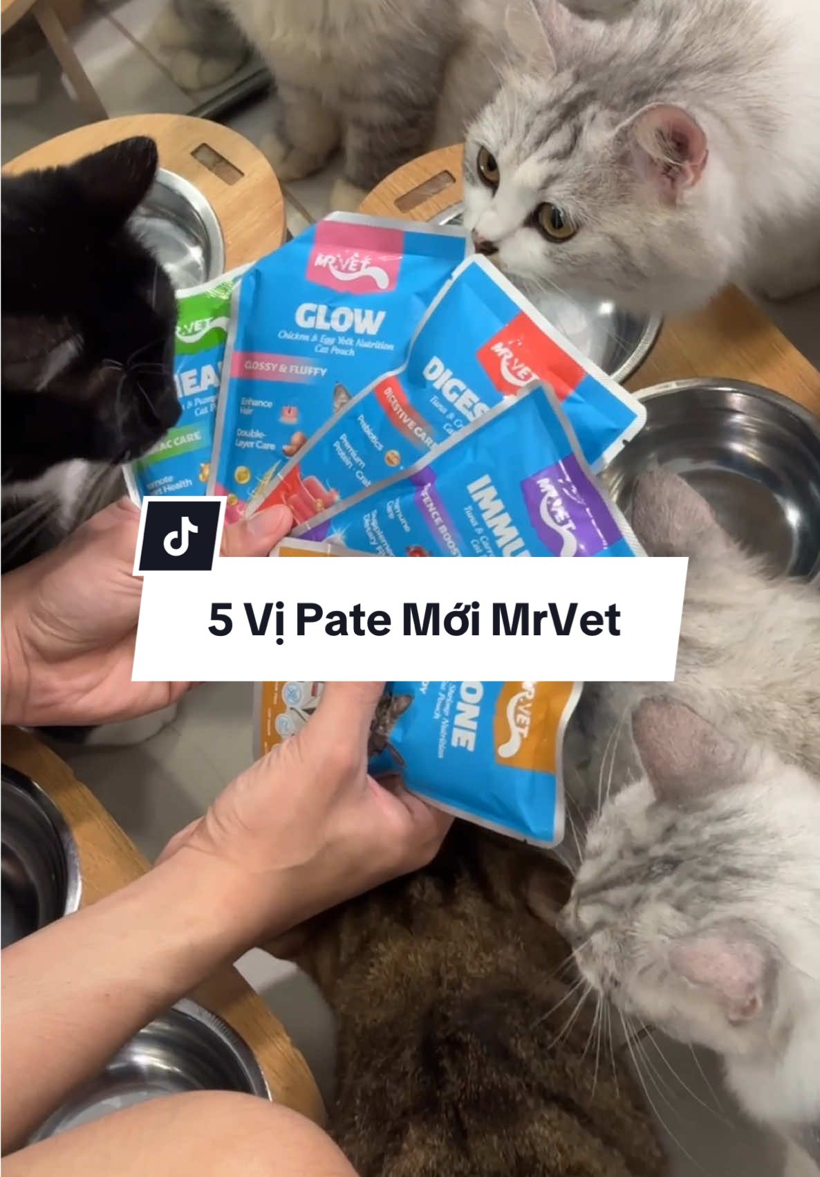 Pate MrVet nay có thêm 5 vị mới nè Sen ơi!  #thucanchomeo #patechomeo #catsoftiktok #nuoimeo #mrvet 