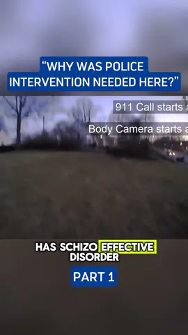 Why Was Police Intervention Needed Here?”#cops #police #copsoftiktok #policeofficer 
