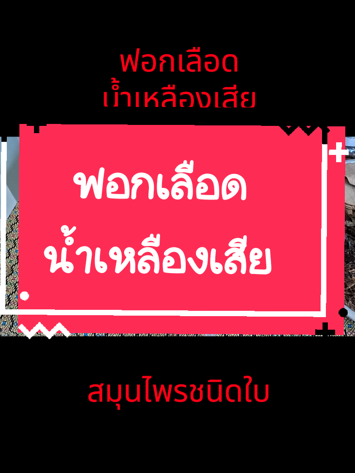 #กฤษณาคลินิกการแพทย์แผนไทย #ฟอกเลือด #บำรุงเลือด #น้ำเหลืองเสีย #กระทุ้งพิษ 