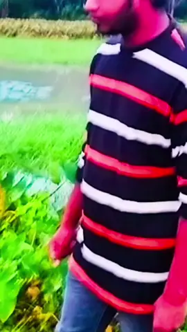 #srk #tiktok #viral #top #tranding @farhanmridha.top.1