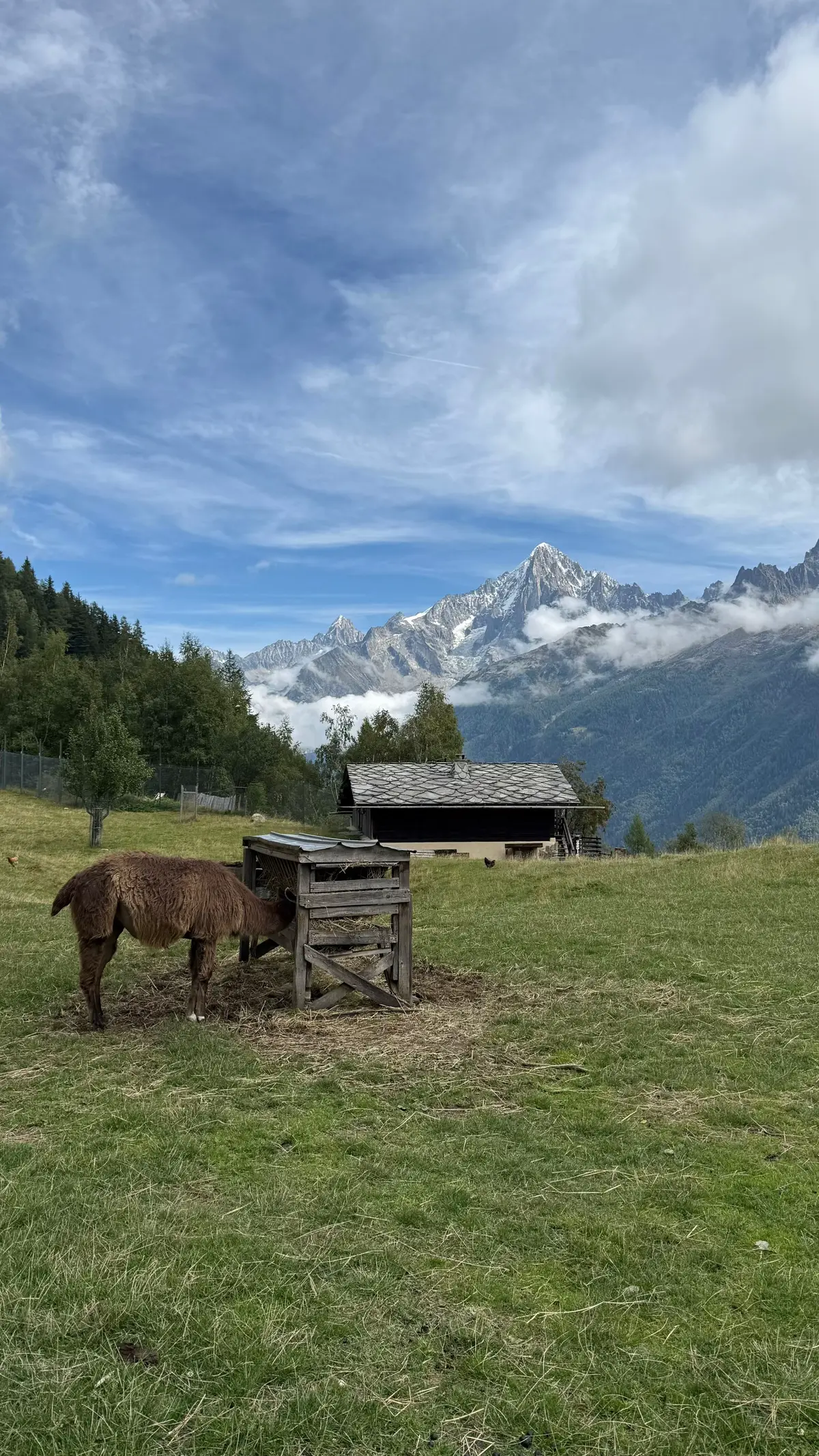 Mountains lover 🏔️ #montagne #randonnée #nature #lacblanc #hikelife 