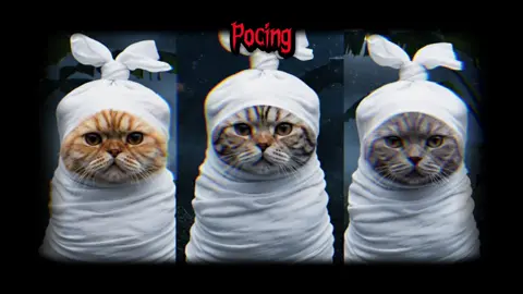 random 🤣  #kenzo #majibu #buma #kucing #cats
