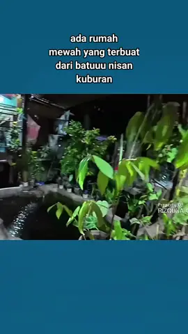 #videorandom #artist #videolucu #videofyp  #videoviral