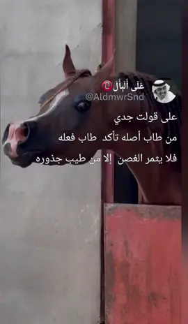 #على_قولت_جدي #عباراتكم_الفخمه📿📌 #على_البال #fypシ #viral 