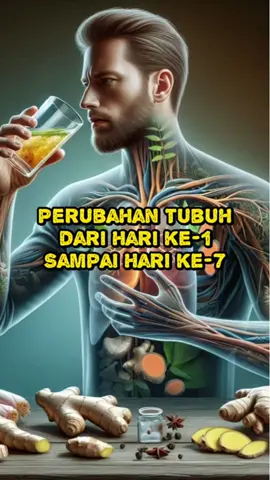 Perubahan Tubuh dari hari ke hari setelah rutin minum teh kunyit jahe dan serai #KunyitJaheSerai #tehkunyitserehjahe #sehatkutisane #tehherbal #herbalalami 