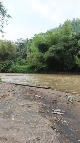 #hiburan #hiburantiktok #jaenalfishing #fyp 