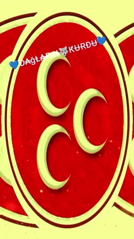 💙🤘🇹🇷💙UZMANIM💙#keşfetbeniöneçıkar #maşallah #tiktok #keşfet#öncevatan 