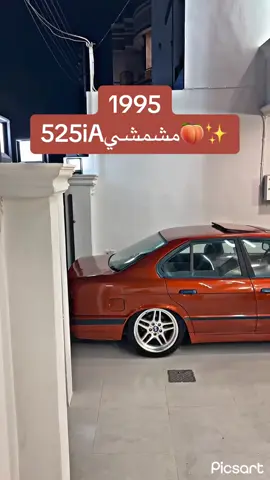 #مشمشي #لايك__explore___ #اكتيفم_دابةزيوة_هاوكاريم_كةن #جيش_الالماني_اين_انتم🇩🇪🚀 #الفخامه_هنا 