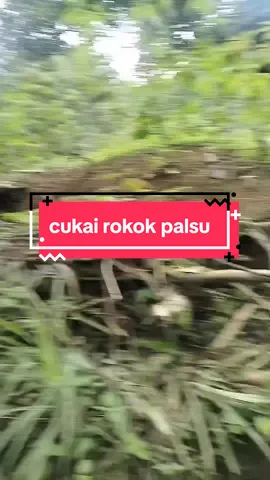 ￼ Menu Beranda Berita Hukum Politik Opini Video  Home Hukum Menteri Keuangan Ba... Menteri Keuangan Baru, Mafia Rokok Ilegal Johan Sugiharto Tidur Tak Tenang RedaksiKamis, 11 September 2025 ￼Peternak Kuota Pita Cukai Rokok Bernama Johan Sugiharto | Ist Bagikan: FORUM KEADILAN – Bandit-bandit kepabean dan cukai sebentar lagi tampaknya akan meradang. Penguasaha nakal yang selama ini bermufakat jahat dengan para jajaran Ditjen Bea Cukai tak bisa tidur tenang. Kehadiran sosok baru di puncak kepemimpinan Kementerian Keuangan (Kemenkeu) diyakini akan memberi warna berbeda dengan kehadiran Purbaya Yudhi Sadewa sebagai pemegang tongkat komando yang berkarakter tegas dan tanpa teding aling-aling. Salah satu sosok yang tidurnya diyakini tak tenang adalah pria asal Kota Malang, Jawa Timur yang selama ini dikenal sebagai peternak kuota pita cukai rokok bernama Johan Sugiharto yang selama bertahun-tahun telah merugikan keuangan negara triliunan rupiah. Johan sugiharto adalah salah satu dalang dari maraknya distribusi rokok illegal di tanah air. Berbagai aduan atau laporan tentang dirinya yang selama ini dialamatkan ke sistem pengaduan Bea Cukai tak pernah digubris Bea Cukai di bawah kepemimpinan Sri Mulyani. Padahal pengaduan-pengaduan masyarakat begitu gamblang membocorkan sepak terjang Johan Sugiharto bersama para pejabat Bea Cukai, khususnya di wilayah kantor Bea Cukai Jawa Timur dalam merampok uang negara. Hal ini terbukti dari puluhan hingga ratusan pengaduan masyarakat yang diterima Forum Keadilan melalui rubrik Surat Pembaca. Salah satunya adalah pengaduan pengusaha rokok mikro dari Pamekasan, Madura kepada Pusat Pengaduan Bea Cukai dan pengaduan ke instansi Kementrian Keuangan melalui surat elektronik (surel) yang diterima Surat Pembaca Forum Keadilan, tersebutlah sebuah nama yang begitu kesohor mengendalikan bisnis busuk rokok ilegal tersebut. Dalam aduan itu, Johan Sugiharto disebut-sebut bekerja sama dengan Kepala Kantor Bea Cukai Madura dan jajarannya untuk memuluskan aksi menguasai peredaran rokok ilegal di wilayah itu. Modus Peredaran Rokok Ilegal Bagaimana modusnya? Johan Sugiharto mengarahkan warga Madura untuk tiap orang mendirikan pabrik rokok kecil hanya memiliki nama pabrik tapi kegiatan operasional produksinya tidak ada, sebagai salah satu syarat untuk dapat menebus kuota pita cukai SKT (Sigaret Kretek Tangan) dari Bea Cukai. Pita cukai SKT ini oleh Johan Sugiharto nantinya digunakan sebagai pita cukai SKM (Sigaret Rokok Mesin) miliknya seperti TRANS, RC, RASTA dan SAVIR. Johan sangat cerdik memanfaat masyarakat Madura dengan cara membeli kembali pita cukai SKT dari dari pengusaha-pengusaha pabrik rokok kecil tersebut dengan harga senilai Rp5.000.000–7.500.000 per rim.  Jika 1 usaha mikro mendapatkan 2 rim pita cukai dalam sebulan dikali 300 unit usaha rokok yang saat ini ada di Madura, maka total cuan 300 x 2 x 5.000.000 = Rp3.000.000.000 per bulan. Kalkulasi keuntungan tersebut hanya dari pita cukai rokok saja. Belum termasuk keuntungan dari distribusi atau pemasaran rokok yang pajaknya lebih kecil karena menggunakan pita cukai rokok SKT yang ditempelkan ke rokok SKM milik Johan Sugiharto. Dengan kata lain, Johan tidak hanya berprofesi sebagai pengusaha rokok ilegal. Namun, ia juga peternak pita cukai palsu. Monopoli bisnis ilegal pita cukai palsu memang sudah lama menjadi isu publik yang melibatkan pengusaha-pengusaha nakal yang bermitra dengan oknum Ditjen Bea Cukai, baik di kasus pita cukai palsu untuk rokok dan pita cukai palsu minuman beralkohol plus minuman alkohol itu sendiri.#fyppppppppppppppppppppppp 