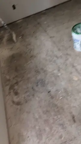 never imagined I would be using my hands to build my home! thank you God! 