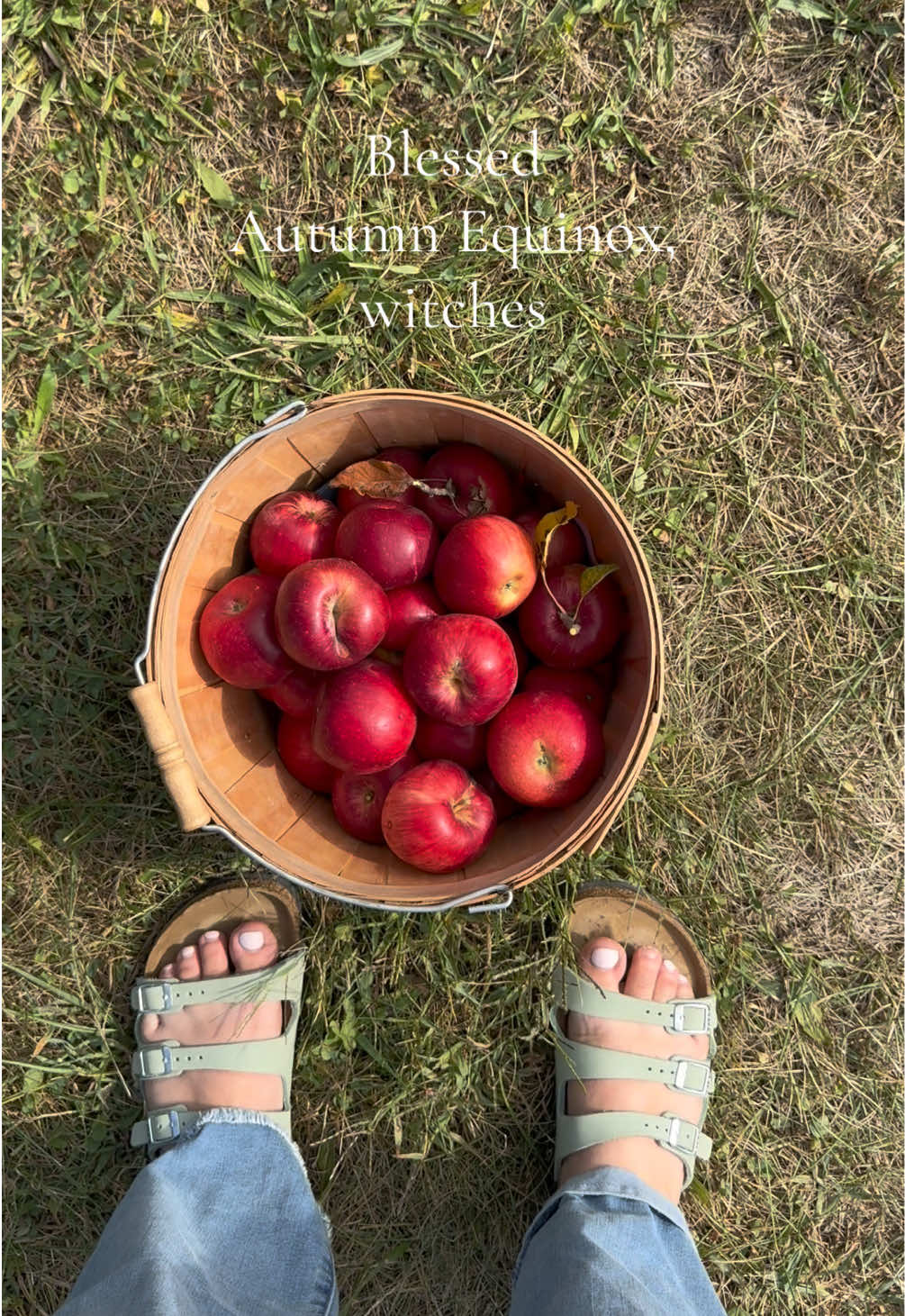 May your Autumn Equinox be filled with blessings, gratitude, and protection as we enter the dark half of the year. 🍎  #autumnequinox #wheeloftheyear #witchtok #applepicking  