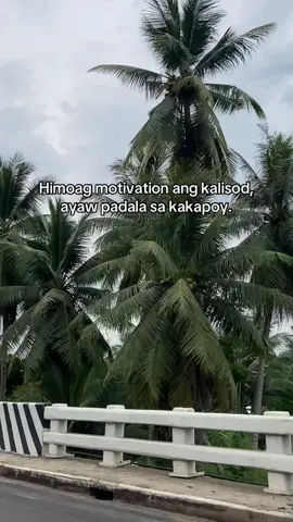 Laban rajud ta permy ani #fyp #bisdak 