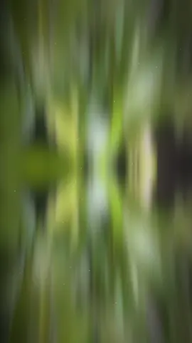 Tìm người tri kỷ biết tìm đâu   #xuhuong #foryou #fyd #nhachaymoingay 