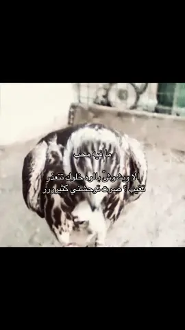 #foryoupage #b #B #fyp #fypage 