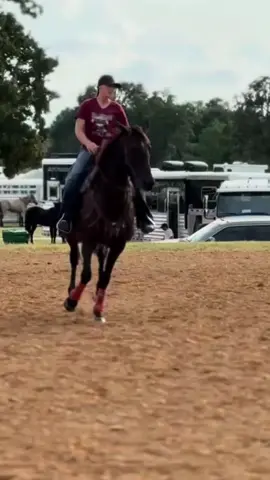 Super Tough Corona making a nice run at the Jeanine McMinn race in Conroe. Best weekend with our team, and great runs for everyone! @JoshuaAlvarez @Aly __Jade❤️ #Jeaninemcminn #barrelhorse #horsetraining 