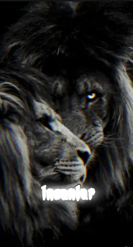 #motivation 