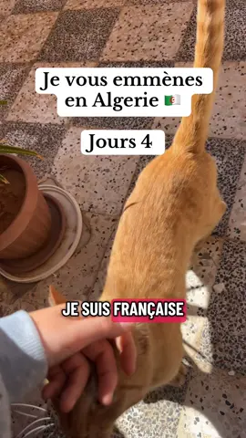 Jours 4 en Algérie 🇩🇿 #hijabi #Lifestyle #travel #dz #dz 