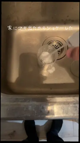 目覚めたら目の前にゴキいたからガチびびった。だから裁き受けてもらうことにした #ゴキブリ 