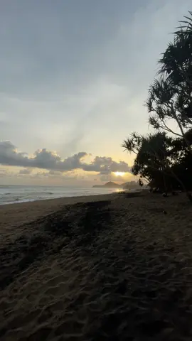 mantai with you kapan?  #fyppppppppppppppppppppppp #pantaimalangselatan #pantaiwonogoro #fypシ 