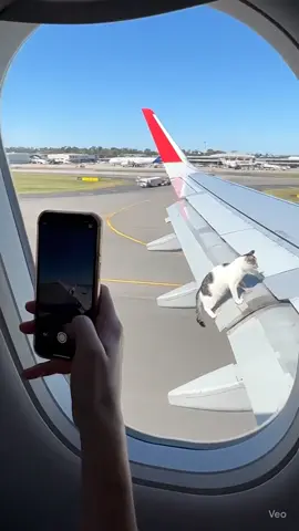 #اندونيسيا🇮🇩 #بونشاك #السعودية🇸🇦 