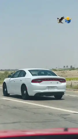 #خطوط_الجويه_العراقيه #جارجرات_العراق_الفخامه_المتعه #جارجرات_العراق_الفخامه_المتعه #شعب_الصيني_ماله_حل😂😂 #شعب_الصيني_ماله_حل😂😂 