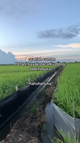 Wkw😅#petanimuda #petaniindonesia🇮🇩🇮🇩🇮🇩🌾🌾🌾 #petanimilenial 