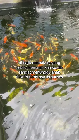 #anaksiappudan #storybatak #quotes 