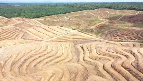 𝚗𝚒𝚔𝚖𝚊𝚝𝚒 𝚜𝚊𝚓𝚊 #komatsu #oprator #alatberat #excavator #hitachi 