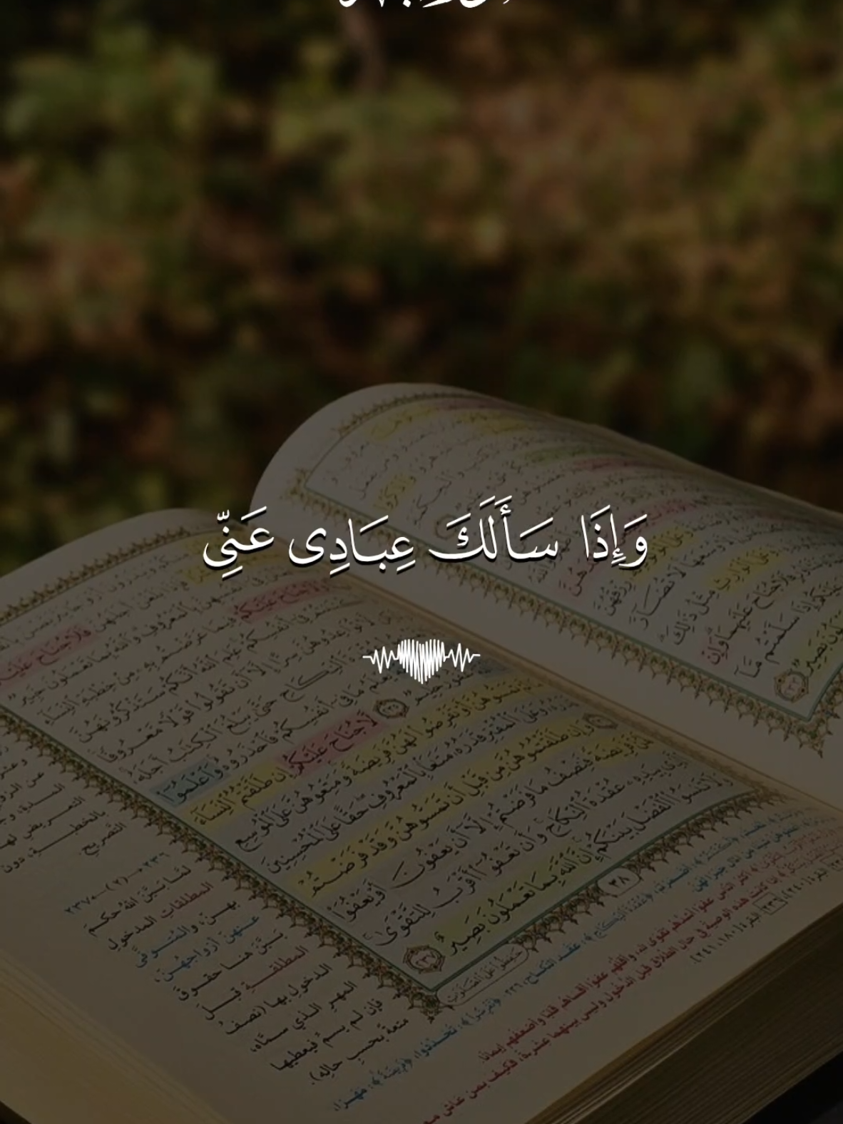 تلاوة خاشعة 💜 القارئ مشاري العفاسي  #Koran #Islam #IslamischeWeisheit #Glaube #IslamischeVideos
