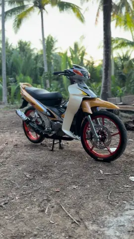 Cho vợ bé của em chề lên sống 