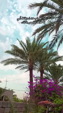 #عبس 