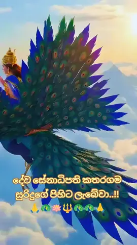 කතරගම දෙවි පිහිට ලැබේවා..!! 🙏🦚#foryoupage  #trending #onemillionaudition #muruganthunai  #creatorsearchinsights 