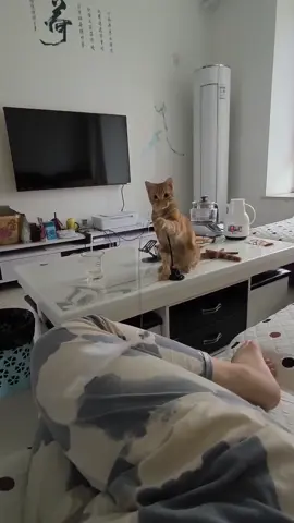 Dậy mà múa đi sen