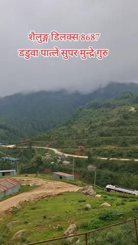 #creatorsearchinsights @kaji👑unish6819💕💕 @स😚li❣️न,,va👑ई🥀2526 @Mr xettri king @@RajkumarRaut40 @Balman Basnet @mundrekarki1 